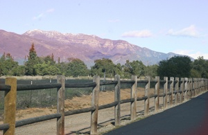 Bed, Breakfasts, & Bikes t Ojai, CA/Lavender Inn, bed and breakfast