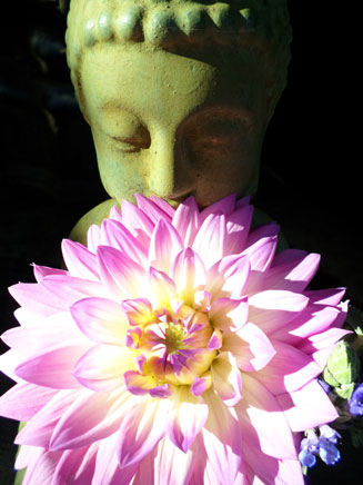 Buddha Fleur in Ojai, CA/Lavender Inn, bed and breakfast
