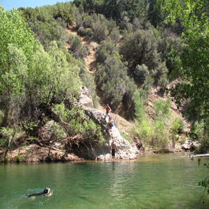 Los Prades National Forest in Ojai, CA/Lavender Inn, bed and breakfast