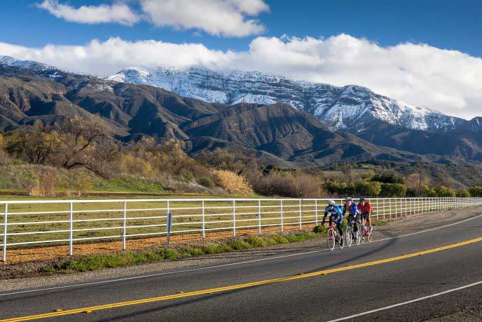 Bike Riding, CA/Lavender Inn, bed and breakfast